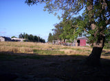 Venta de Campo de 95 hectáreas con 3 Casas en Solís, Dpto. de Canelones