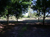 Venta de Campo de 95 hectáreas con 3 Casas en Solís, Dpto. de Canelones